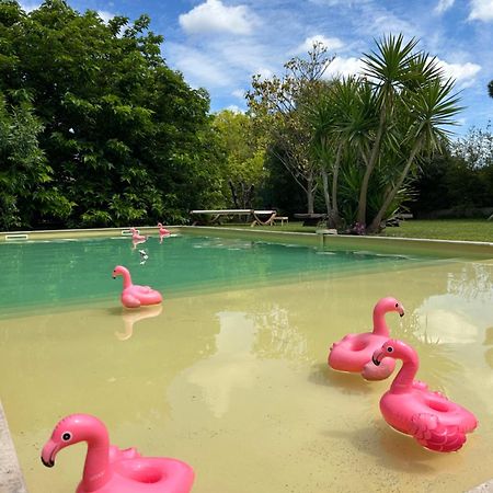 Le Patio, chambres d hôtes pour adultes en Camargue, possibilité de naturisme à la piscine, Aimargues Exterior foto