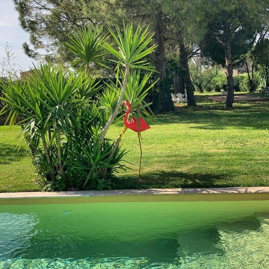 Le Patio, chambres d hôtes pour adultes en Camargue, possibilité de naturisme à la piscine, Aimargues Exterior foto