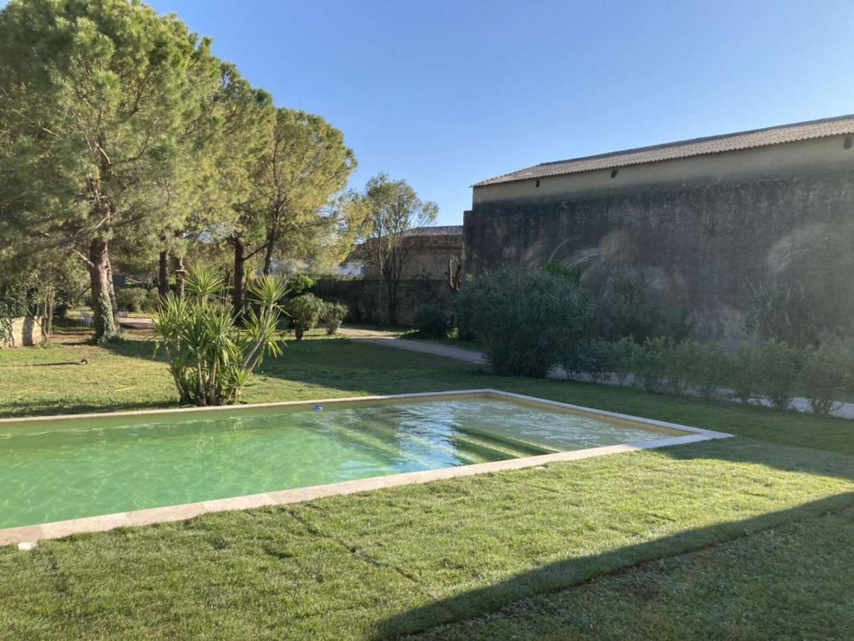 Le Patio, chambres d hôtes pour adultes en Camargue, possibilité de naturisme à la piscine, Aimargues Exterior foto