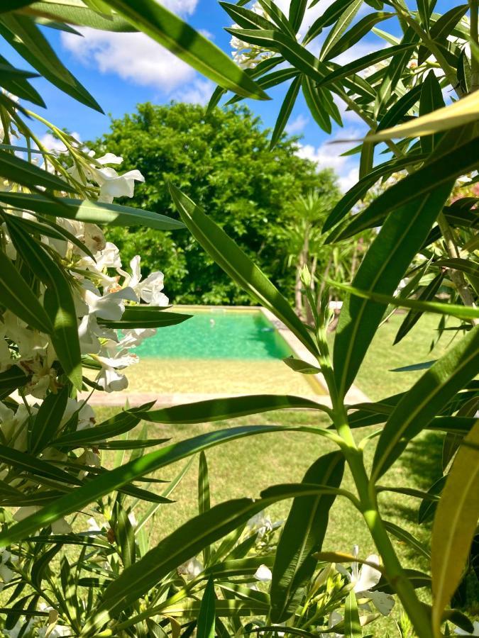 Le Patio, chambres d hôtes pour adultes en Camargue, possibilité de naturisme à la piscine, Aimargues Exterior foto