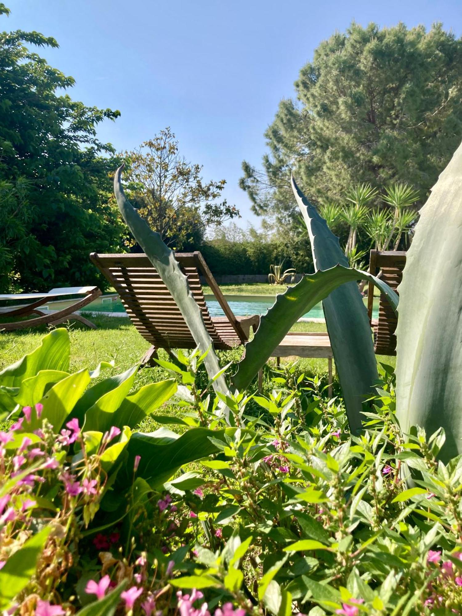 Le Patio, chambres d hôtes pour adultes en Camargue, possibilité de naturisme à la piscine, Aimargues Exterior foto