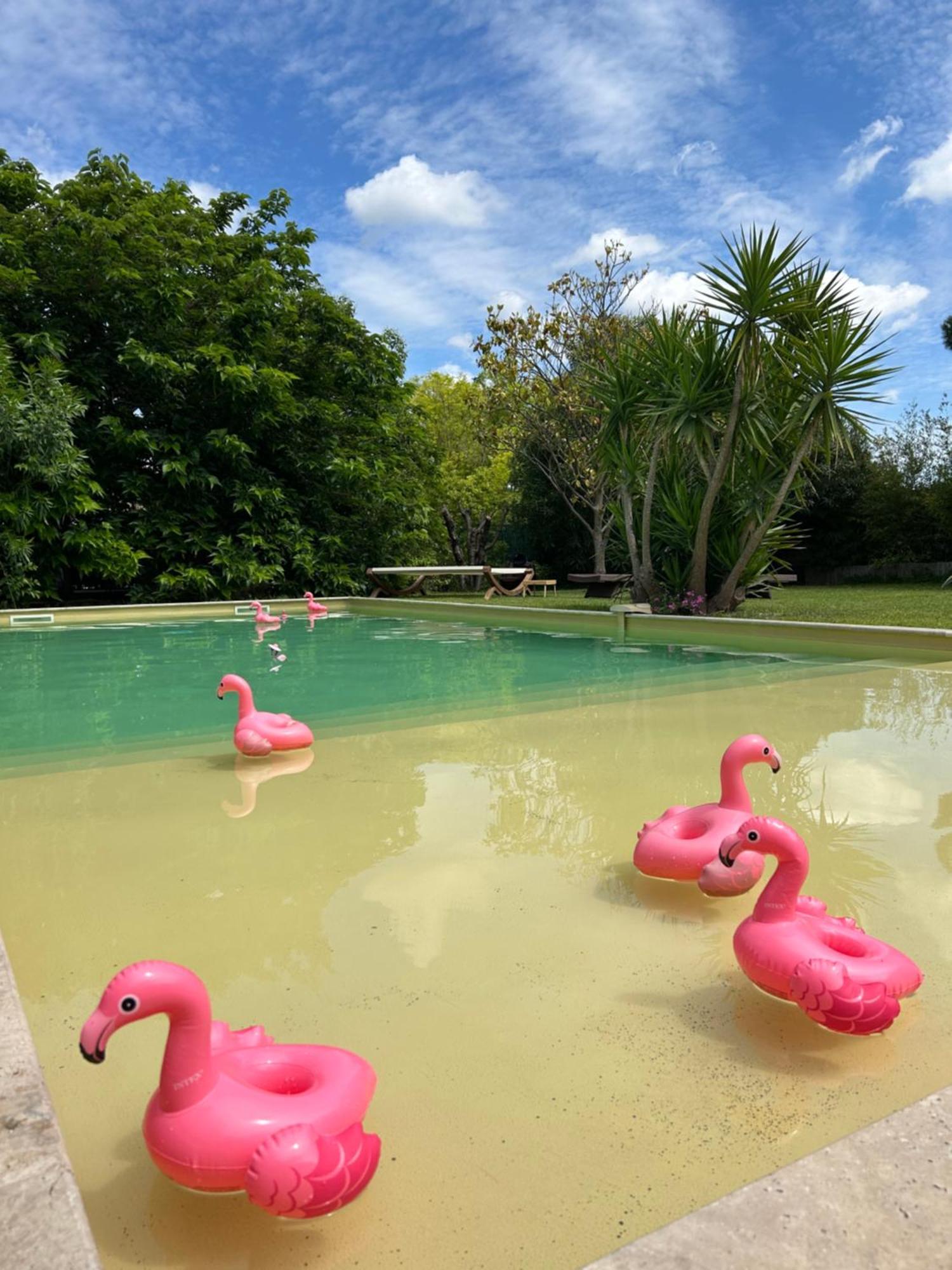 Le Patio, chambres d hôtes pour adultes en Camargue, possibilité de naturisme à la piscine, Aimargues Exterior foto